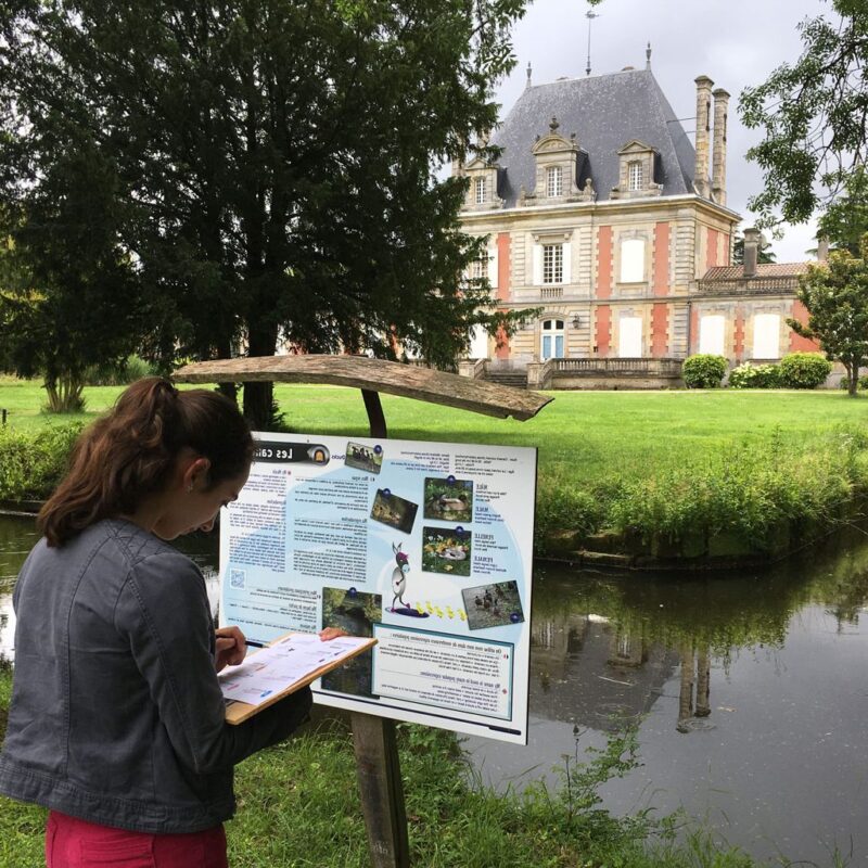Découvrir le vignoble avec les enfants