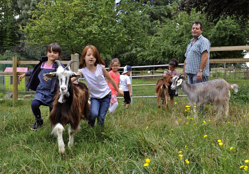 La ferme des Iris – Petite leçon de nature