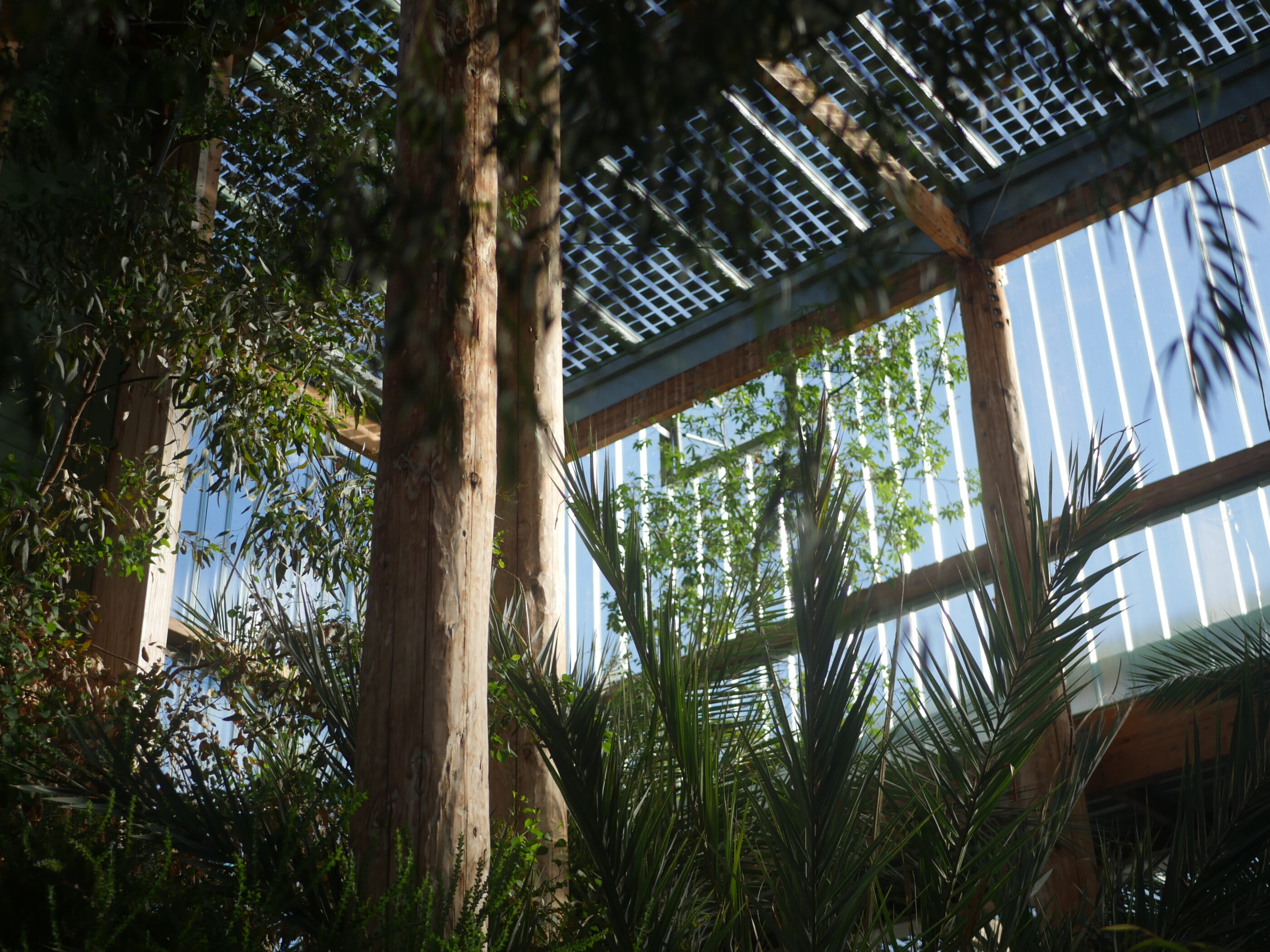 Têtes à têtes nature au jardin botanique de Bordeaux