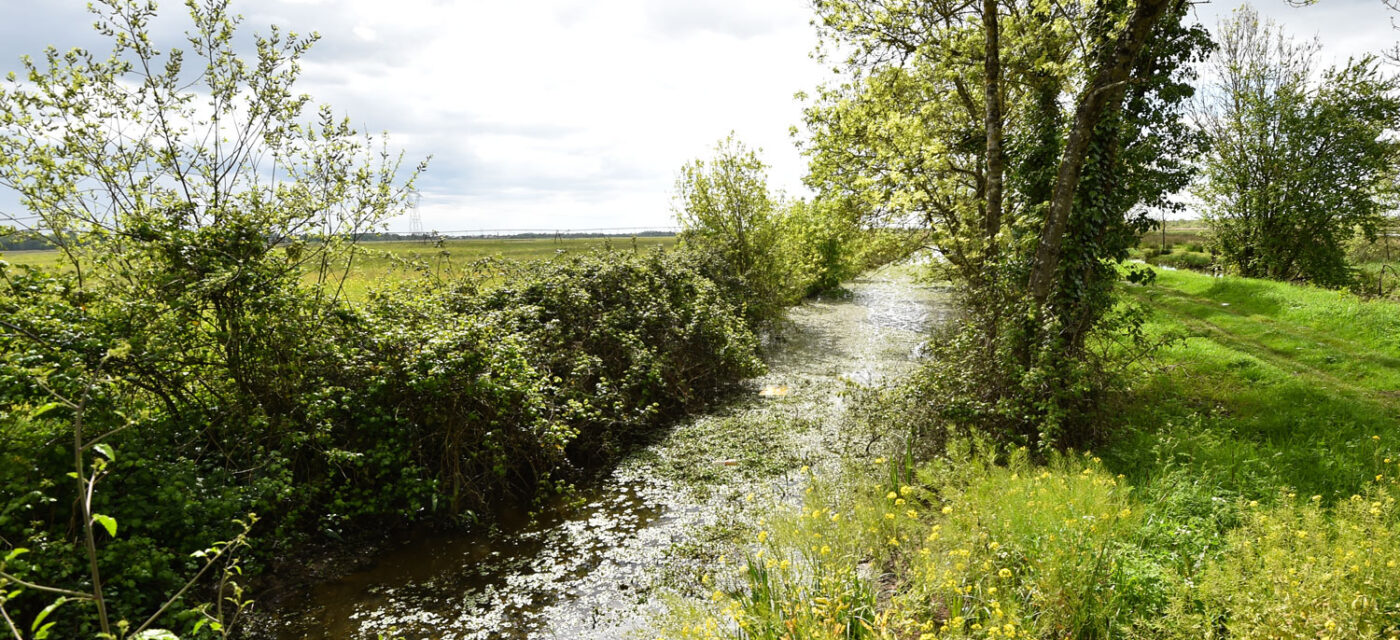 Marais de Montferrand