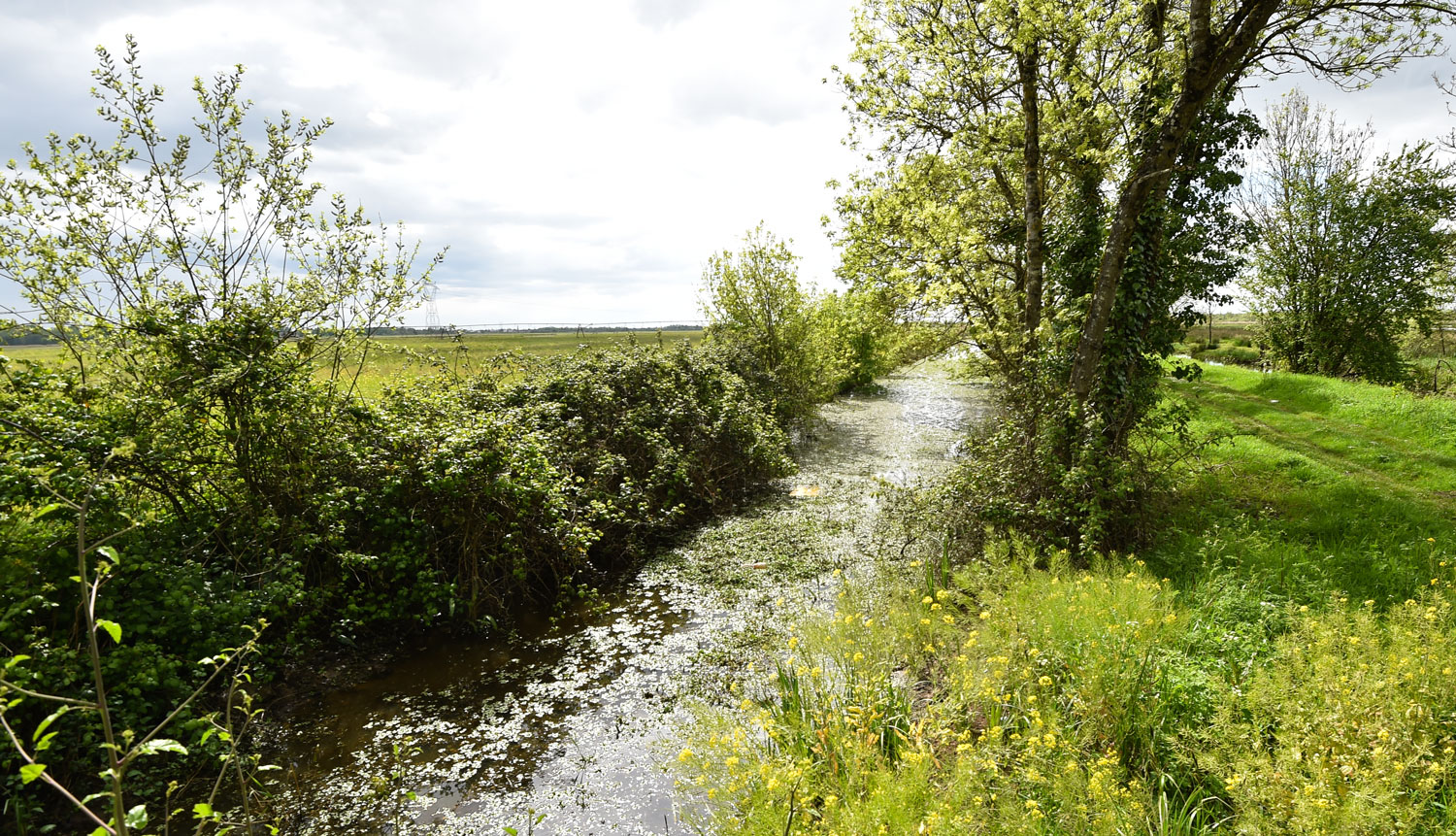 Les marais de Montferrand – L’infini à portée de bus