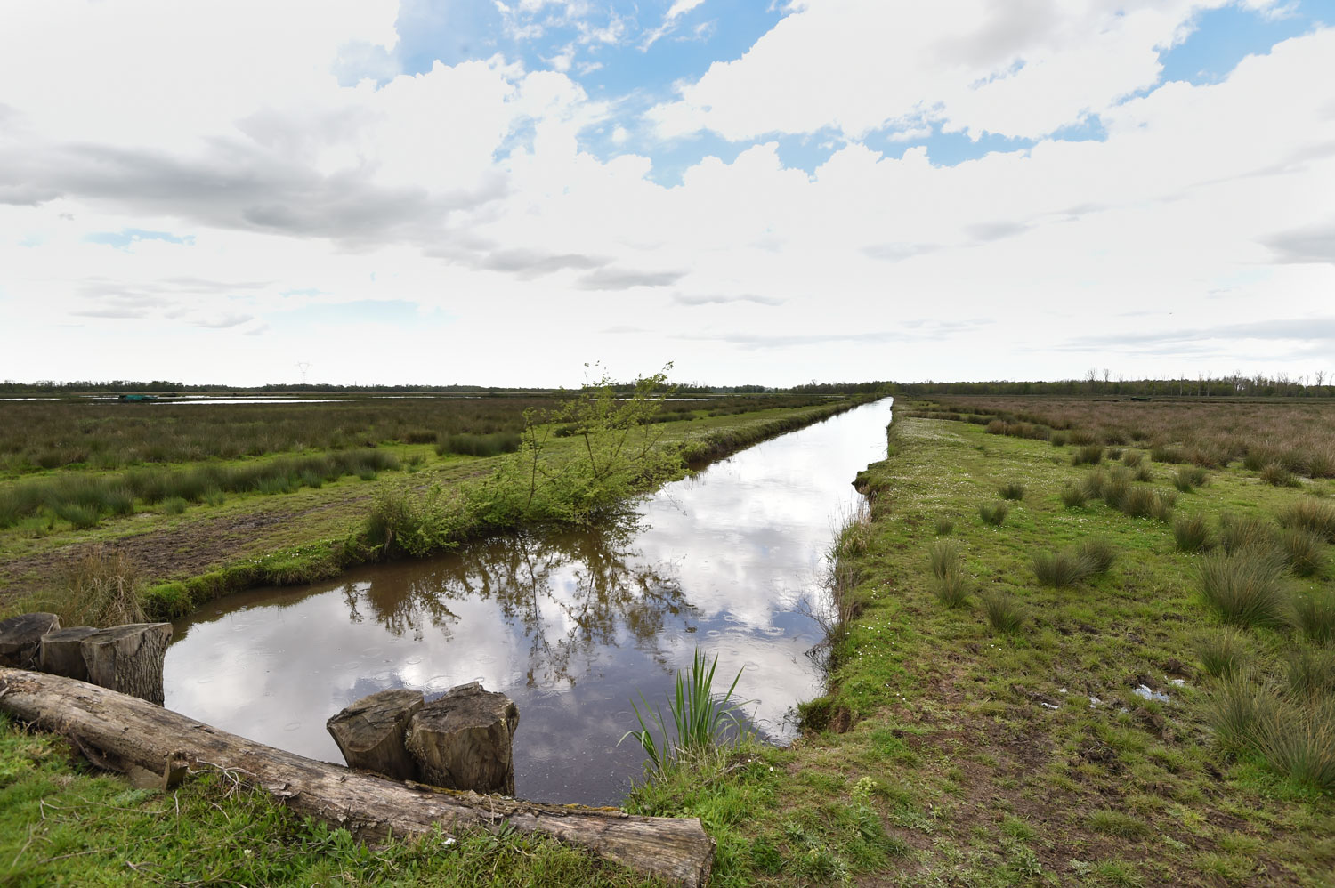 Les marais de Montferrand – L’infini à portée de bus