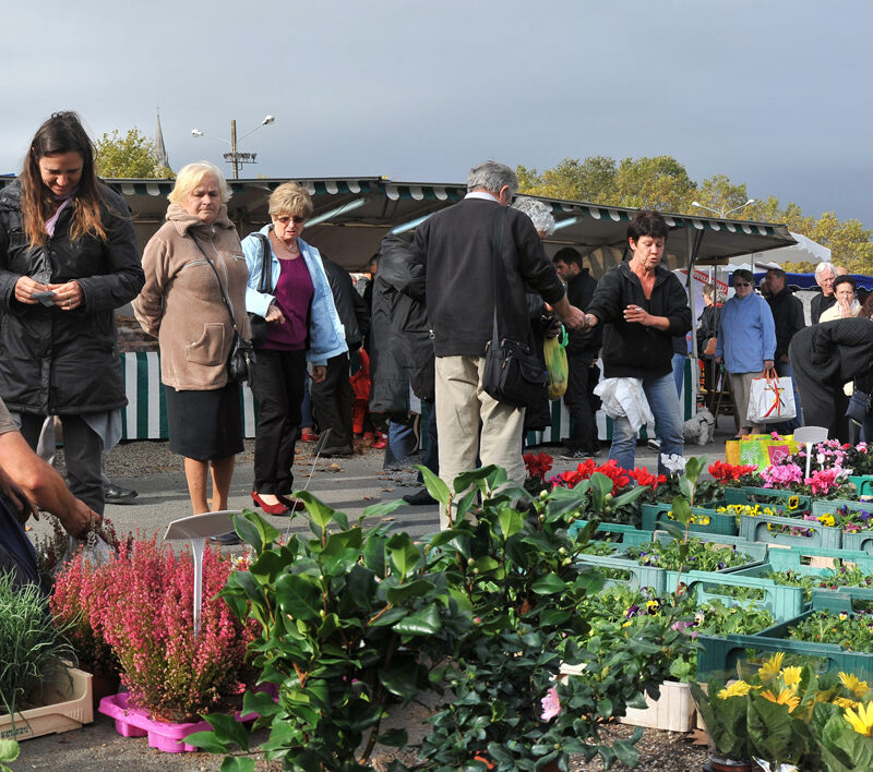 Marché de Bassens