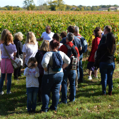3 idées pour découvrir le vignoble avec les enfants