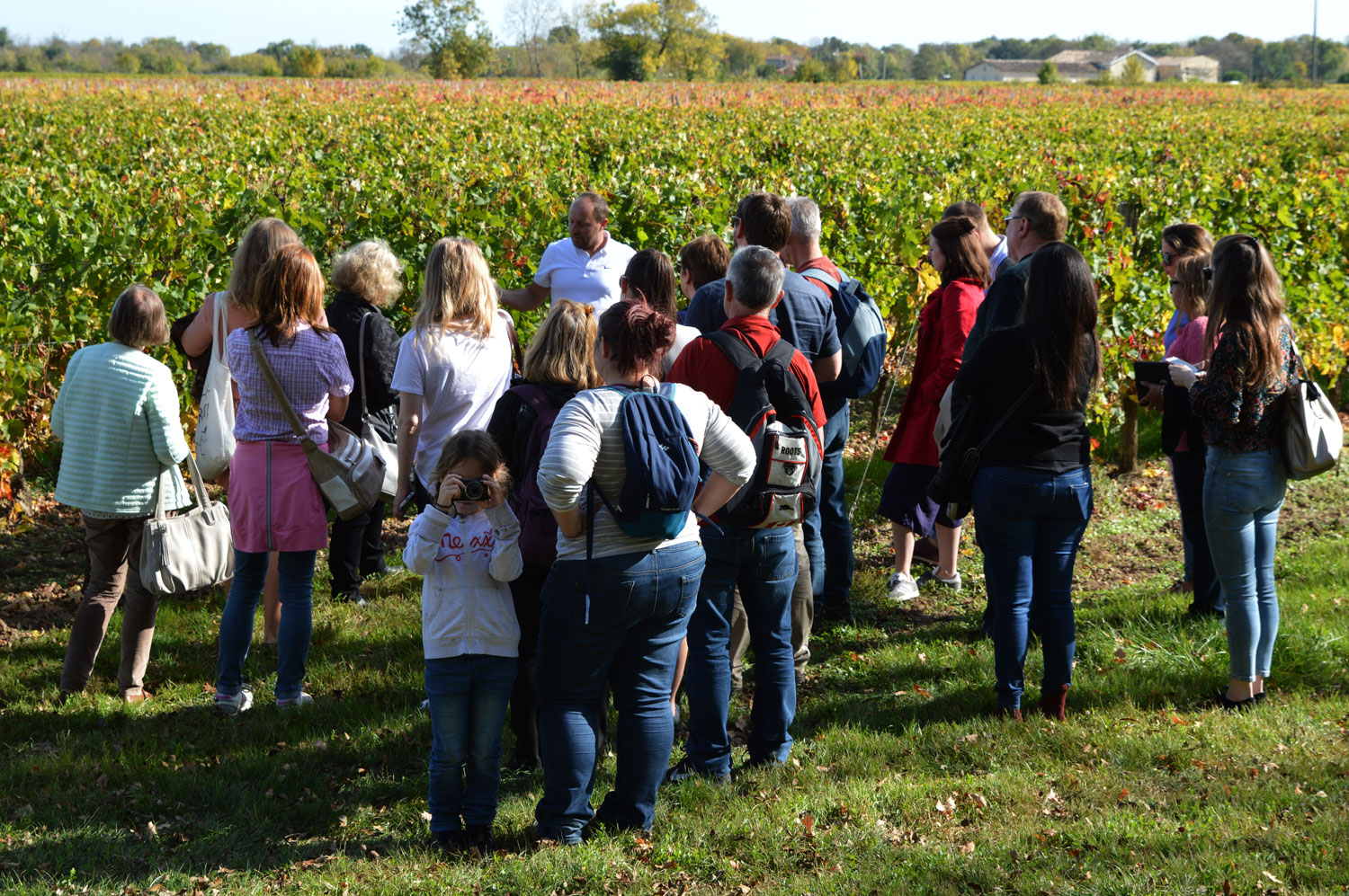 3 idées pour découvrir le vignoble avec les enfants