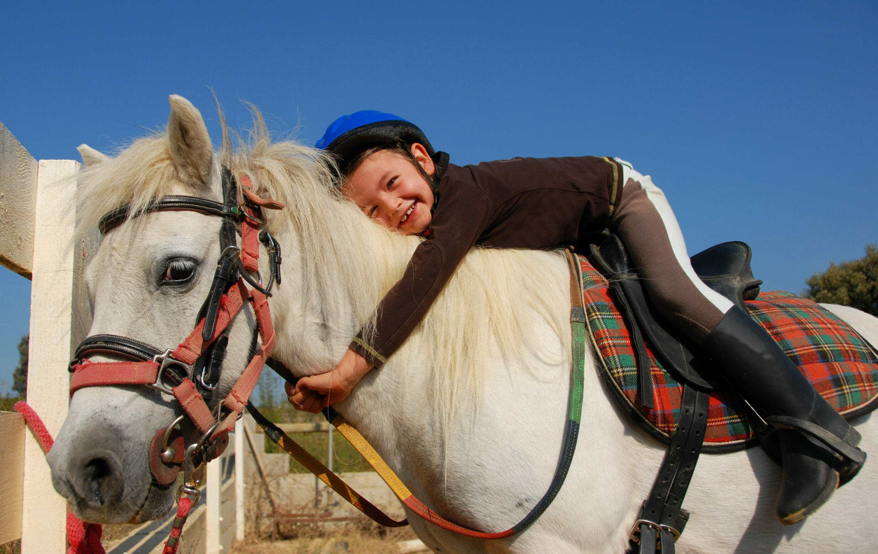 Poney Club à Mérignac