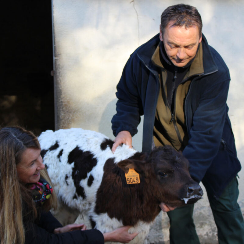 parc animalier Moulineau Gradignan