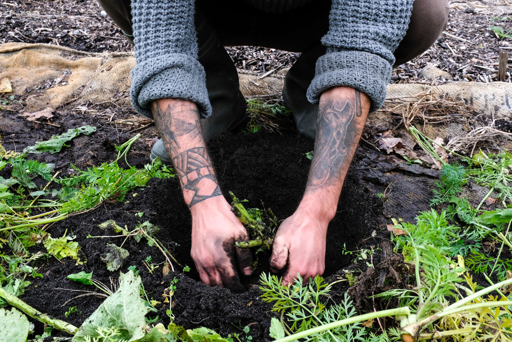 Consommer autrement – Terre d’Adèles cultive son jardin