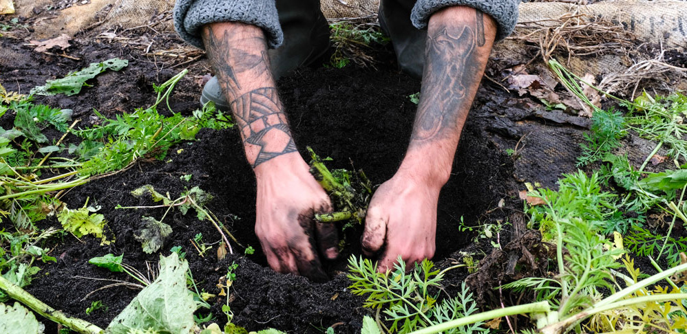 Consommer autrement – Terre d’Adèles cultive son jardin