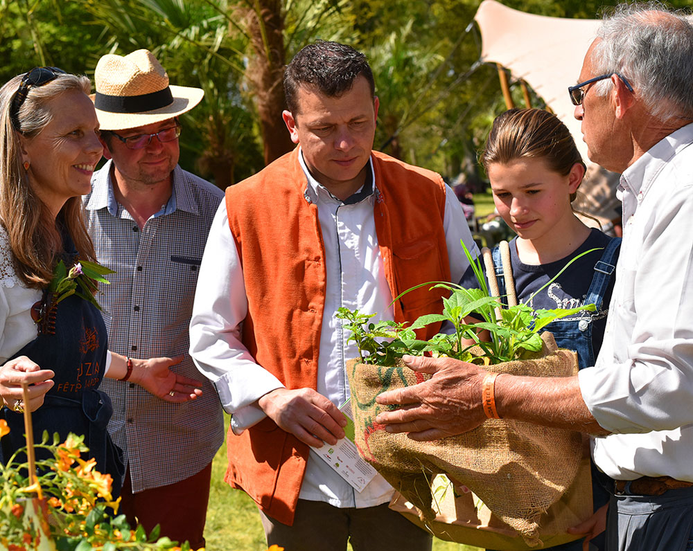 Tauzia fête les jardins : rêve de passionnés et précieux rendez-vous saisonnier