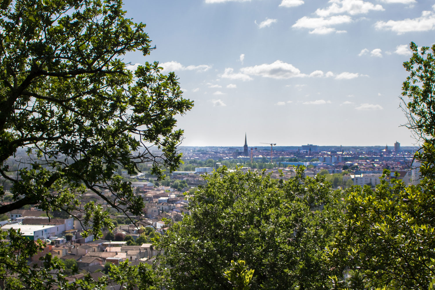 Balade à vélo sur les coteaux de Bordeaux