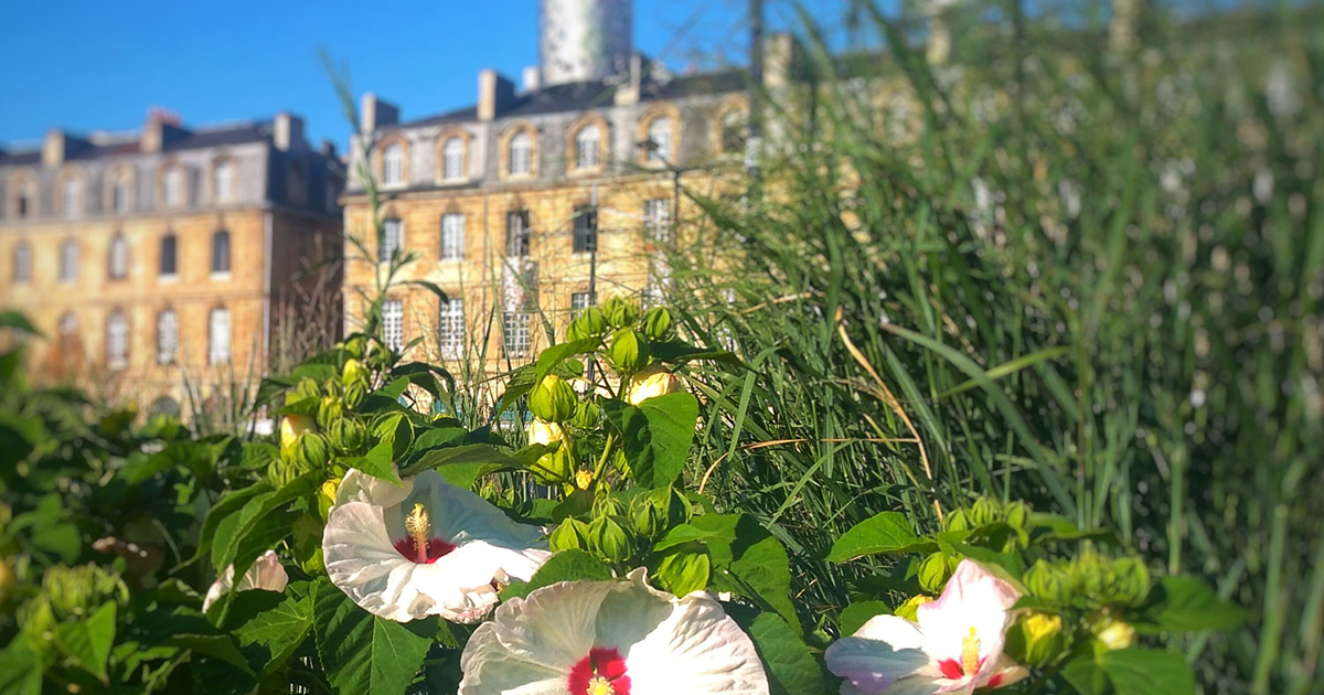 Bonnes vacances !