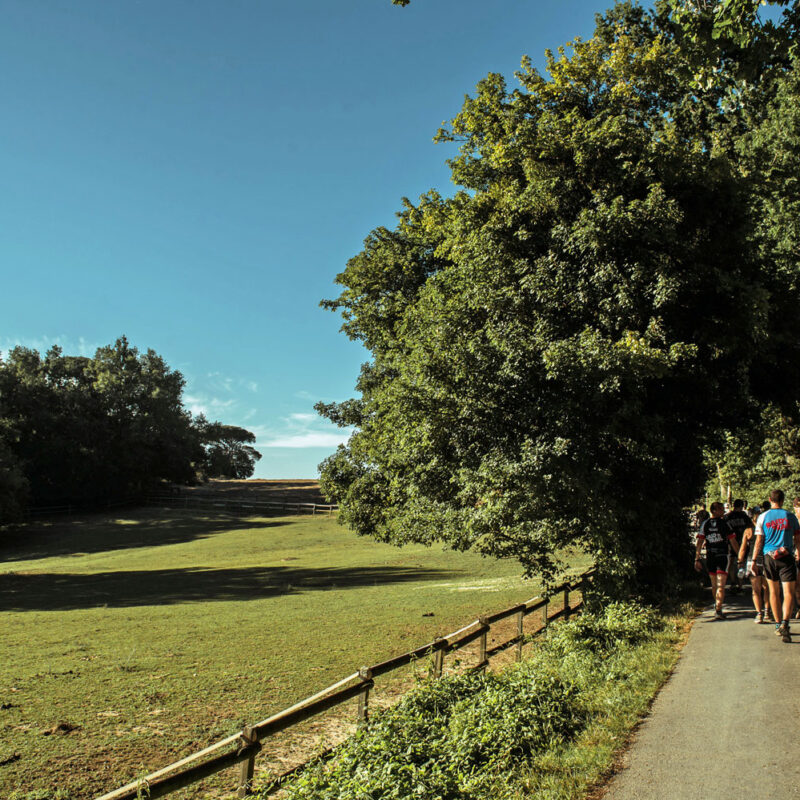 Le domaine de la Burthe à Floirac