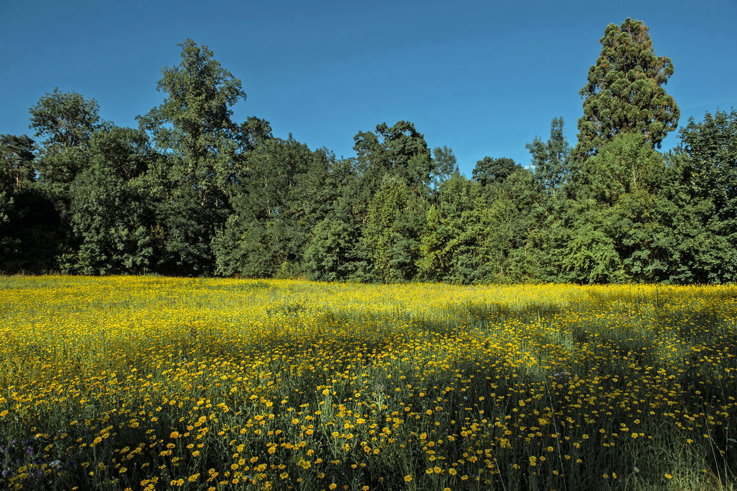 Le domaine de La Burthe : nature active !