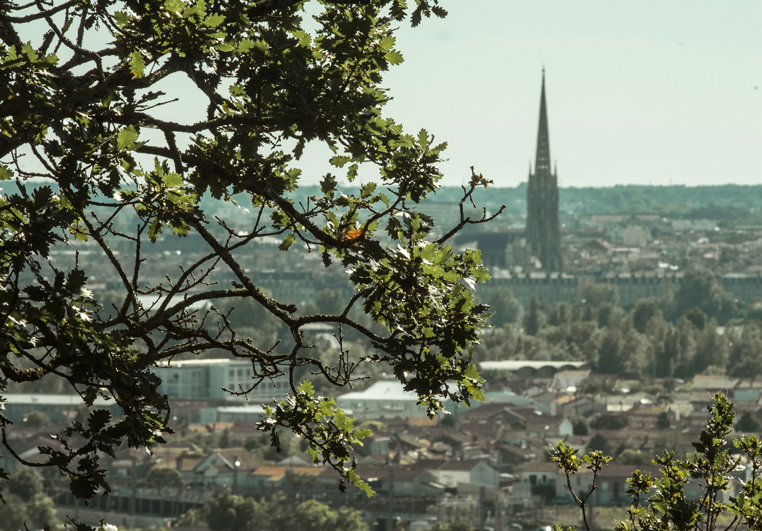 Le domaine de la Burthe à Floirac