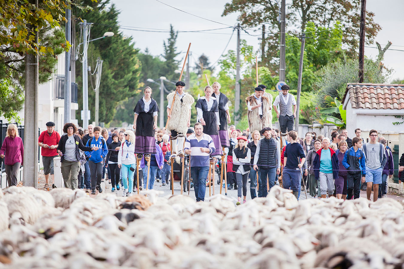 La Grande Transhumance Urbaine