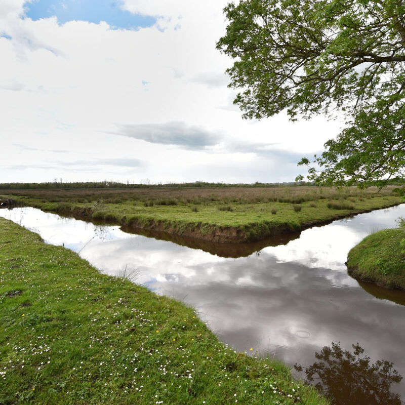 La Presqu'île d'Ambès