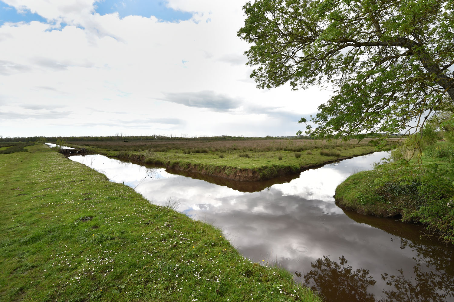 La Presqu'île d'Ambès