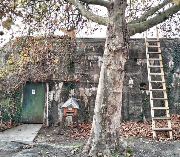 Les blockhaus de la Cité Claveau : faire du passé un jardin