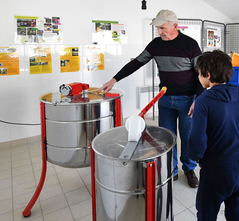 apiculture à Bordeaux