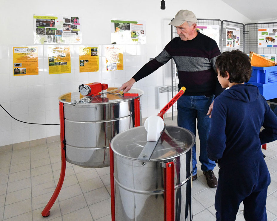 apiculture à Bordeaux