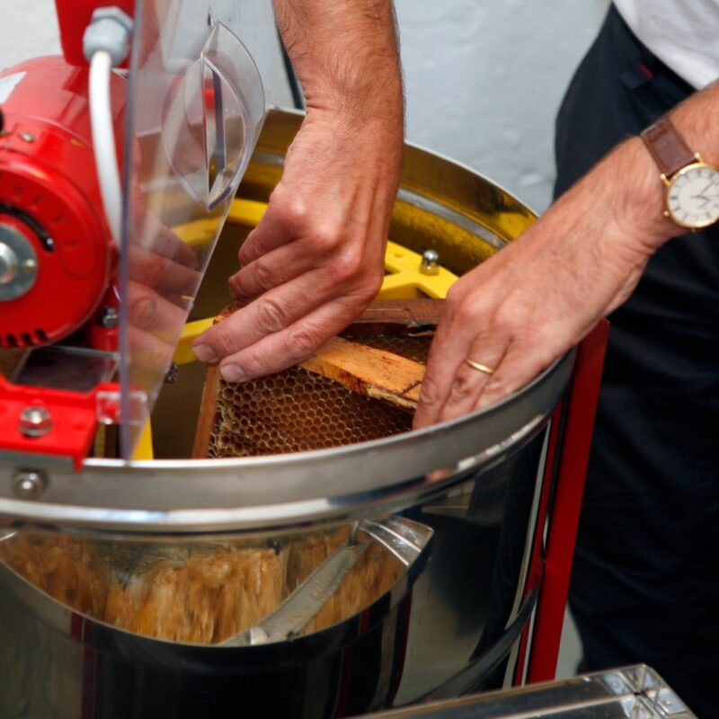 apiculture à Bordeaux