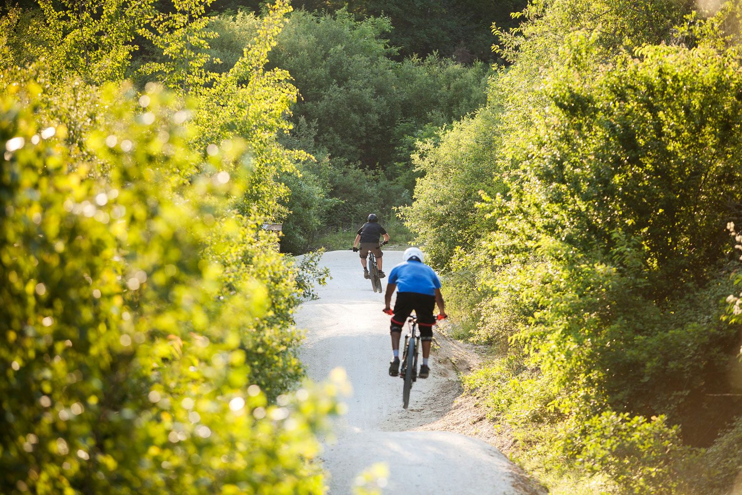 Le Bourgailh, « poumon vert » de la métropole