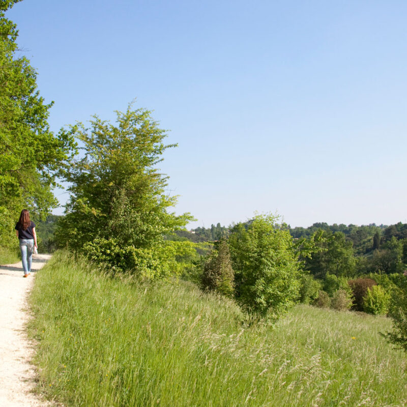 Boucle verte sur les coteaux de la rive droite