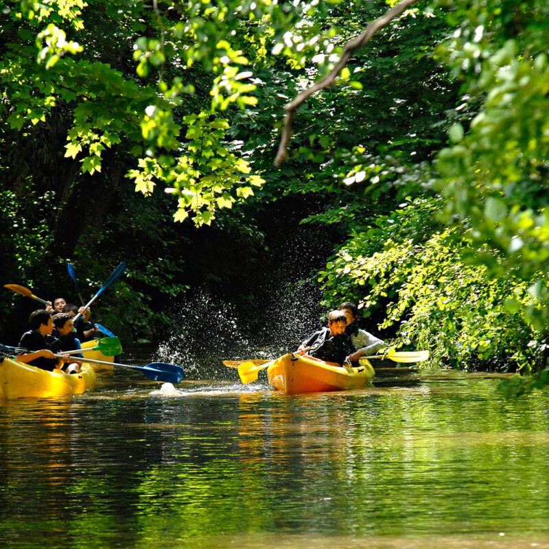 Balades nature autour de Bordeaux