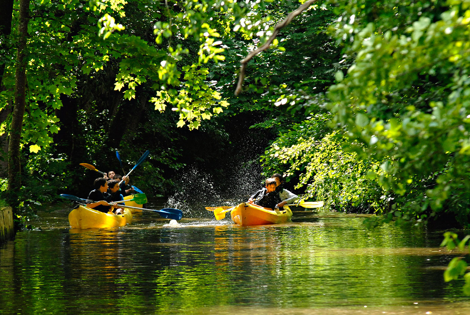 Balades nature autour de Bordeaux