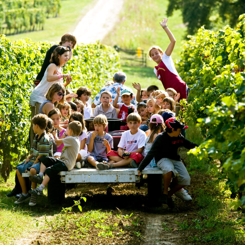 enfant Bordeaux