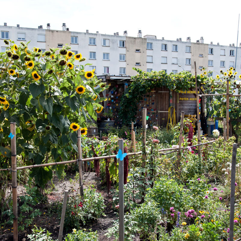 jardiner à Bordeaux