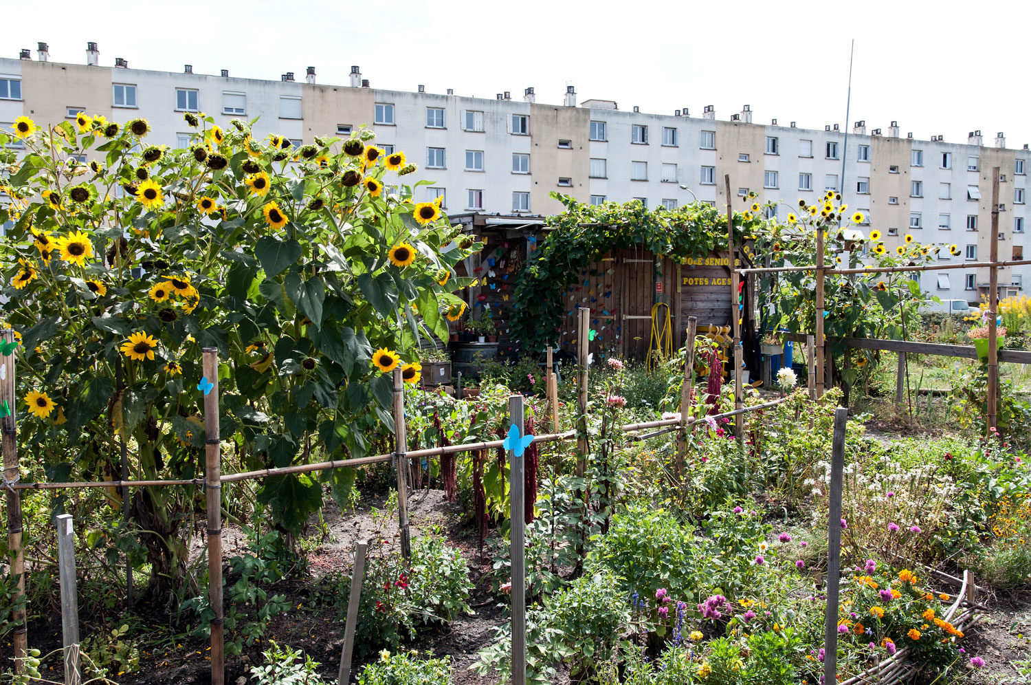 jardiner à Bordeaux