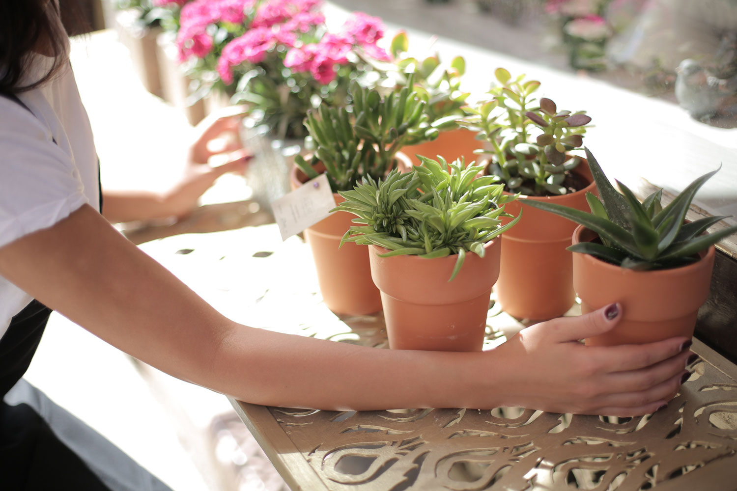 jardins participatifs à Bordeaux