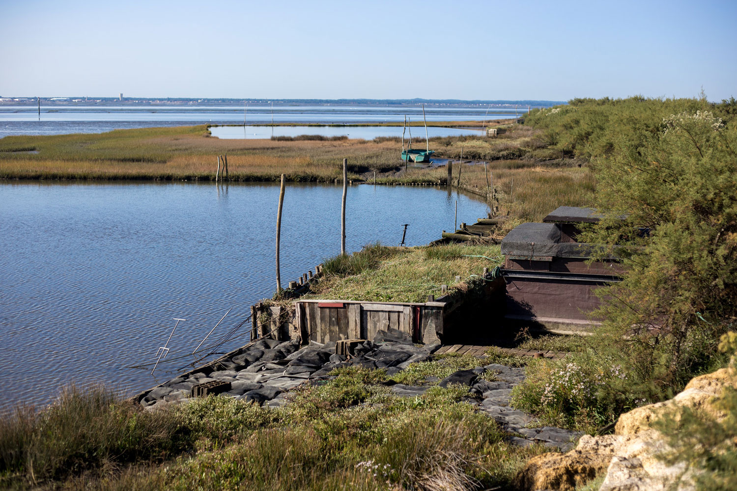 Activités en famille et immersion nature au cœur du Bassin d’Arcachon