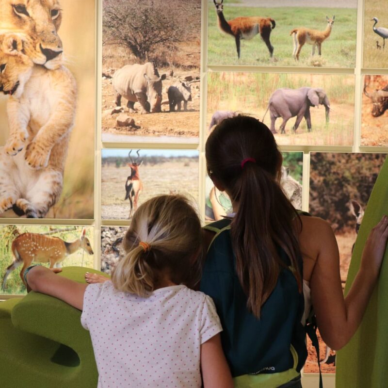 bordeaux avec les enfants