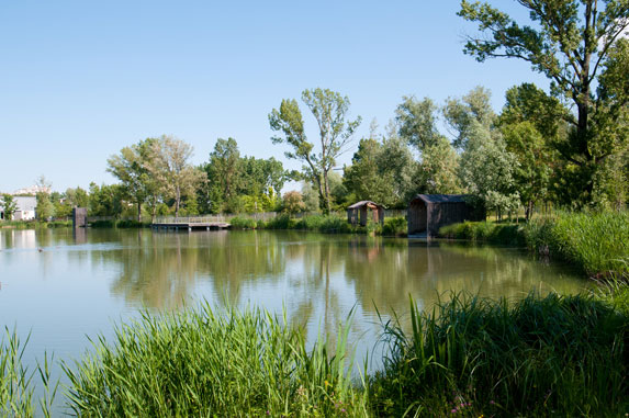 Parc des étangs - pêche à Floirac