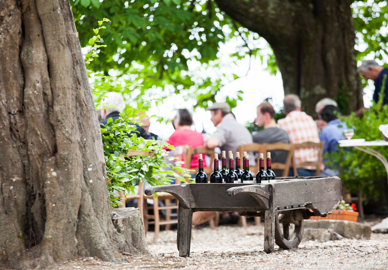 Bordeaux fête ses vendanges, le retour