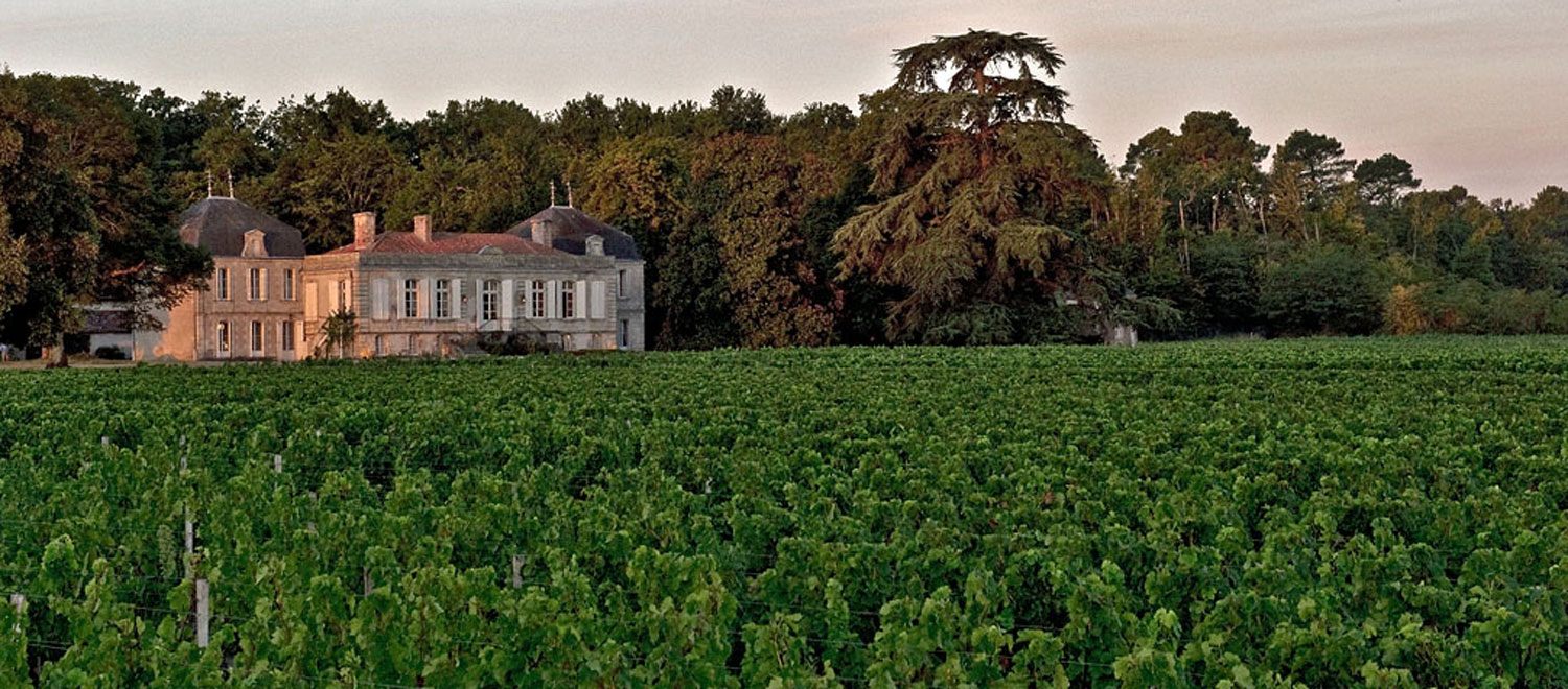 Rando à Bordeaux : les vignes à portée de tram