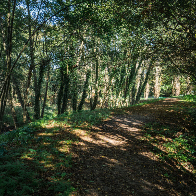 Parc du Ruisseau au Haillan