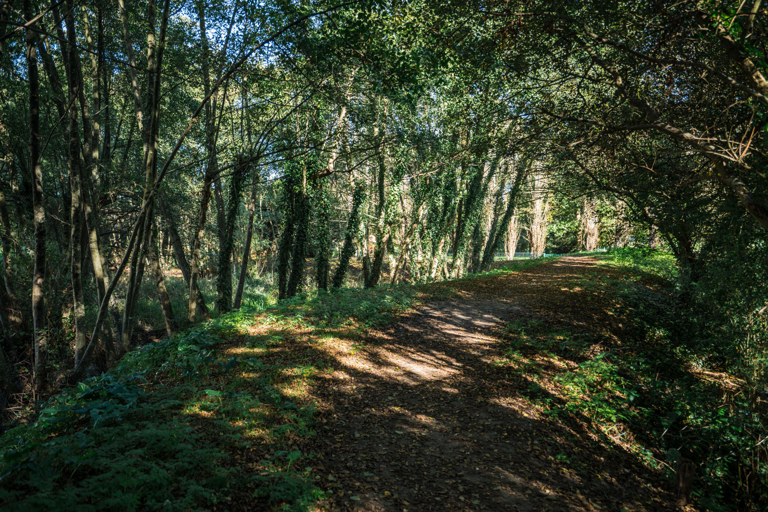 Parc du Ruisseau au Haillan