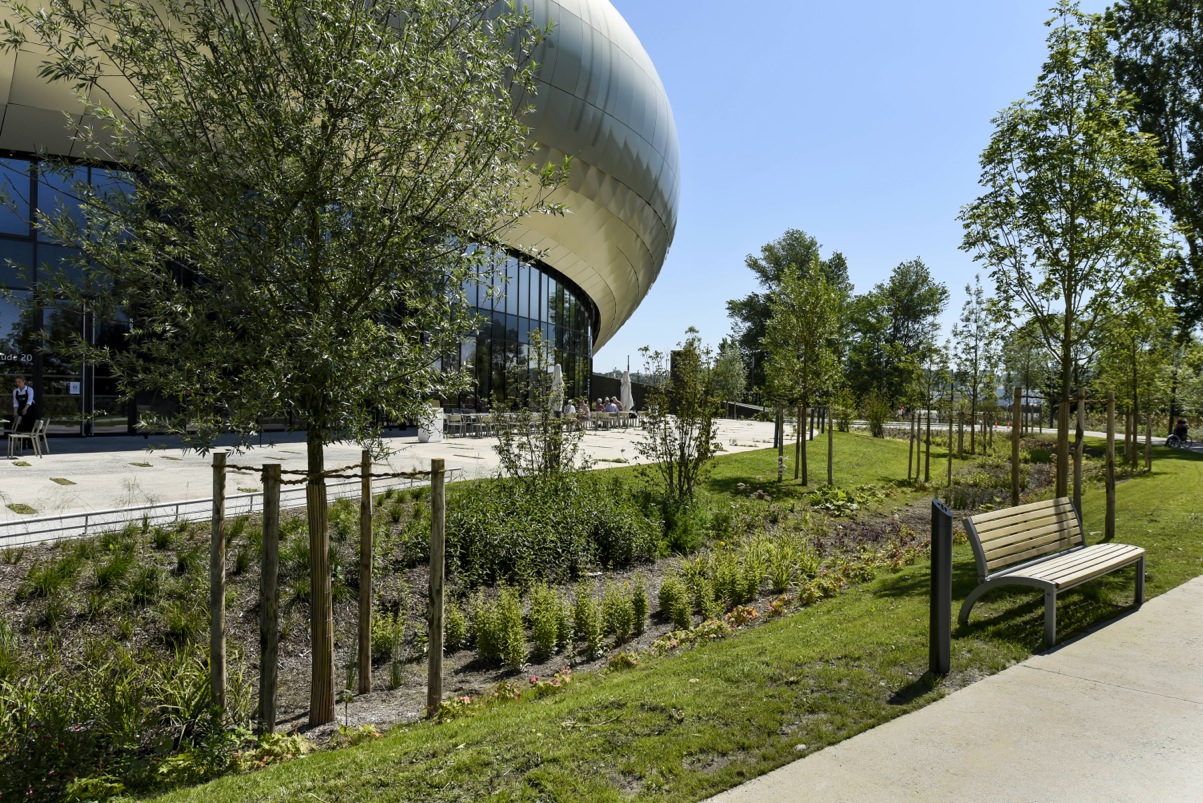 Cité du vin