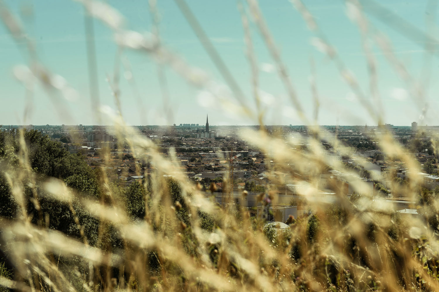 Balades nature autour de Bordeaux : tome 3, la rive droite.