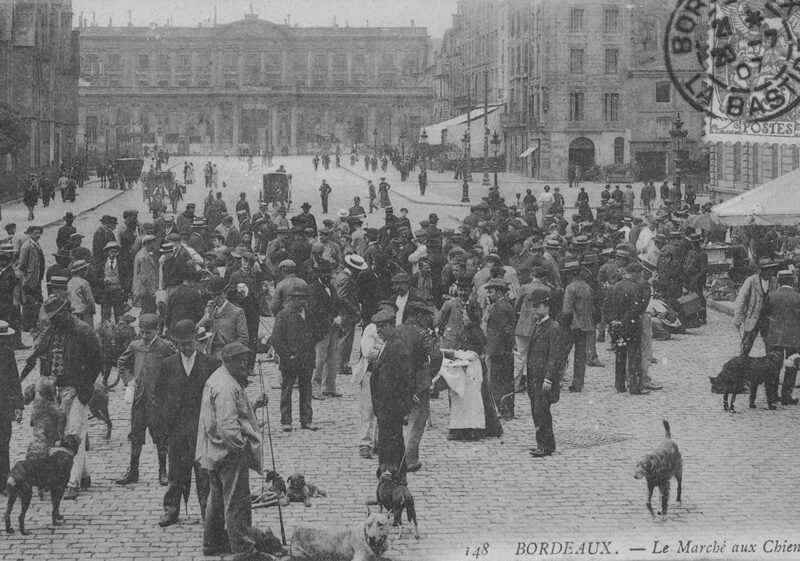 Marché au chien, bordeaux avant après