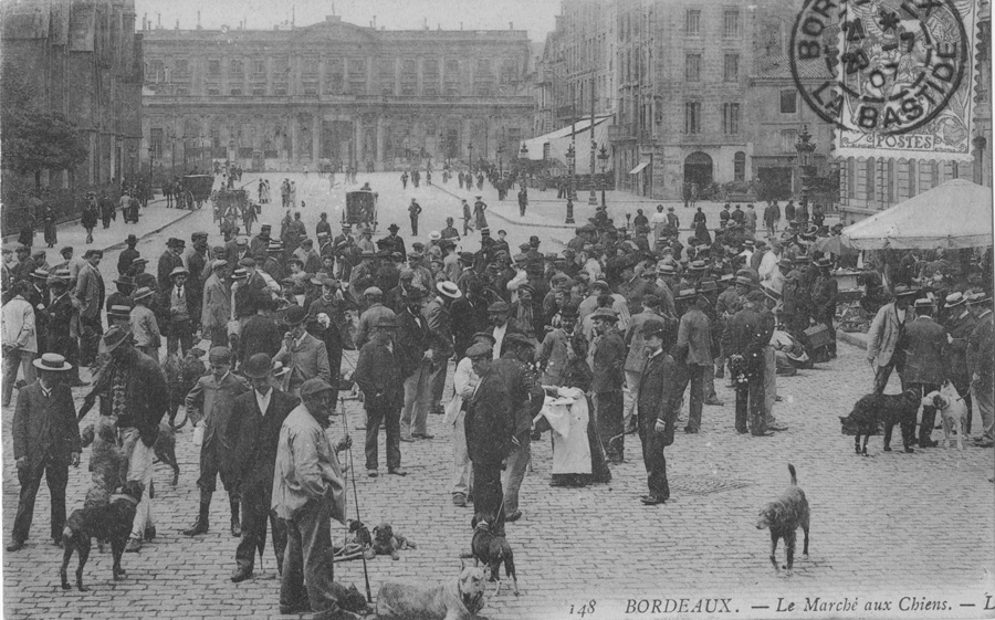 Marché au chien, bordeaux avant après