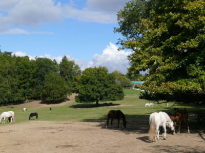 Domaine de la Burthe