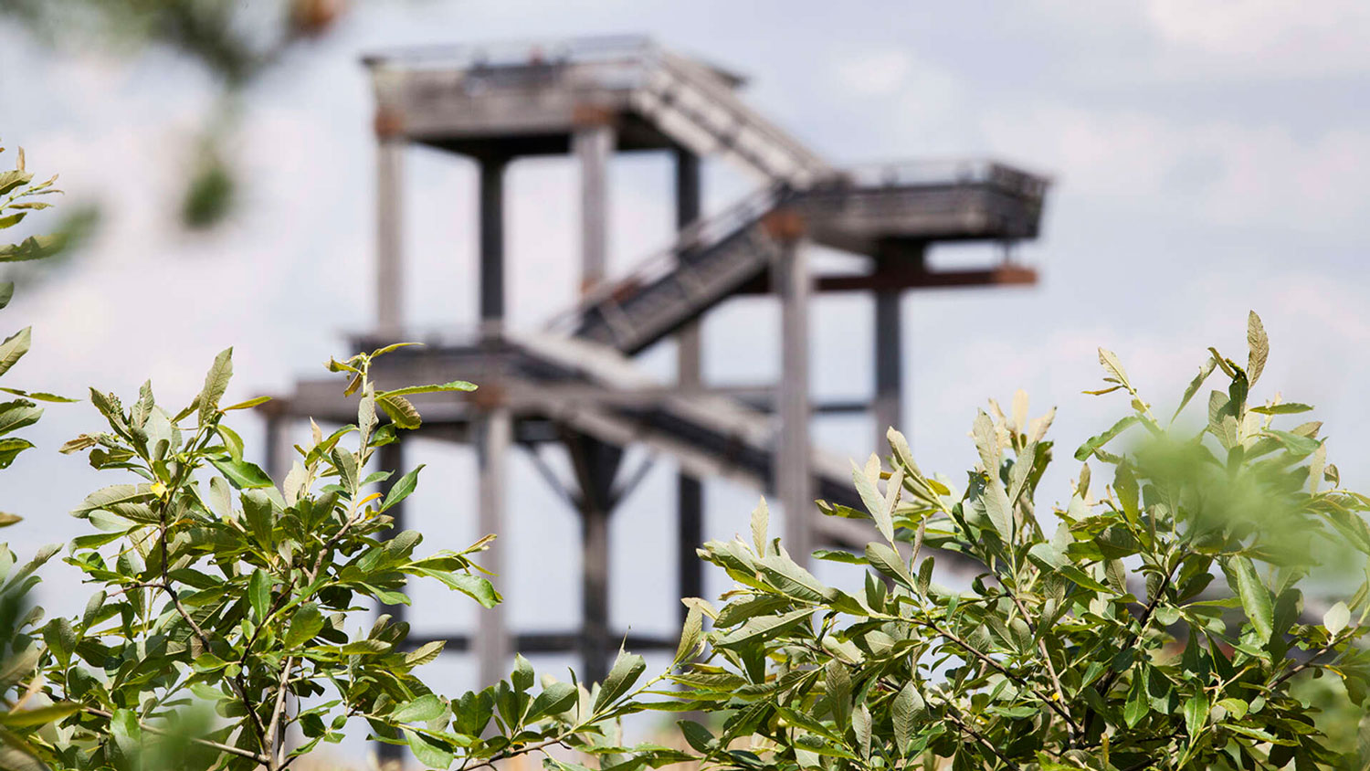 Que faire à Bordeaux en ce week-end nature et détente ? 12, 13, 14 juin 2020