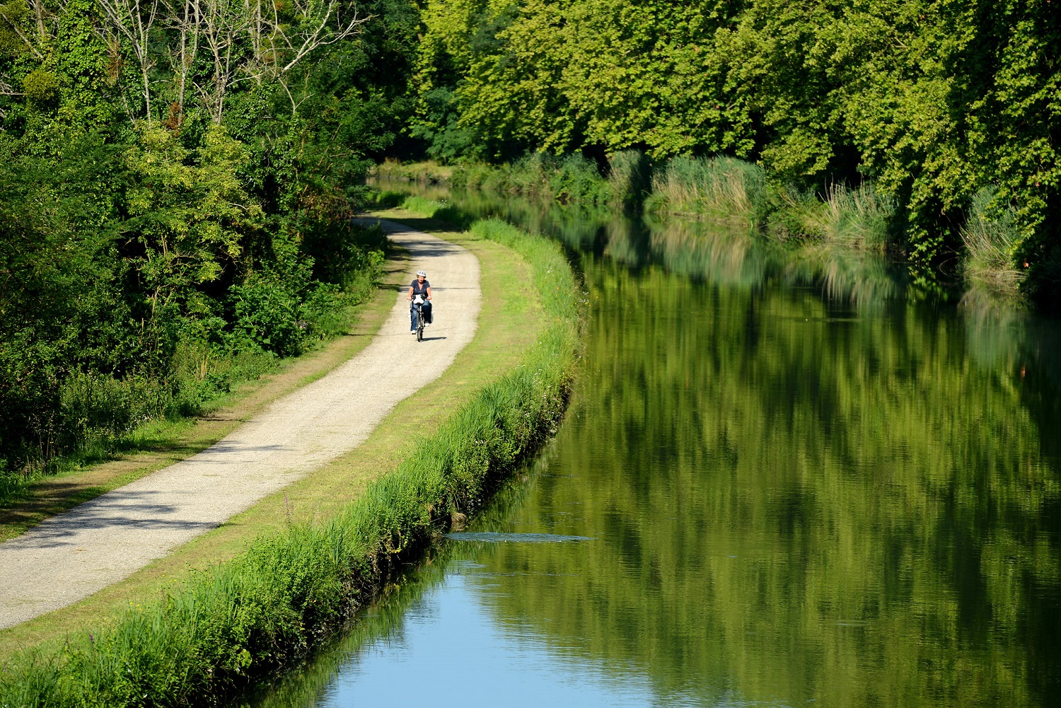 Balades nature autour de Bordeaux – Tome 2