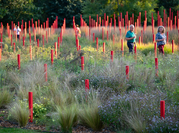 Jardin Millésimé