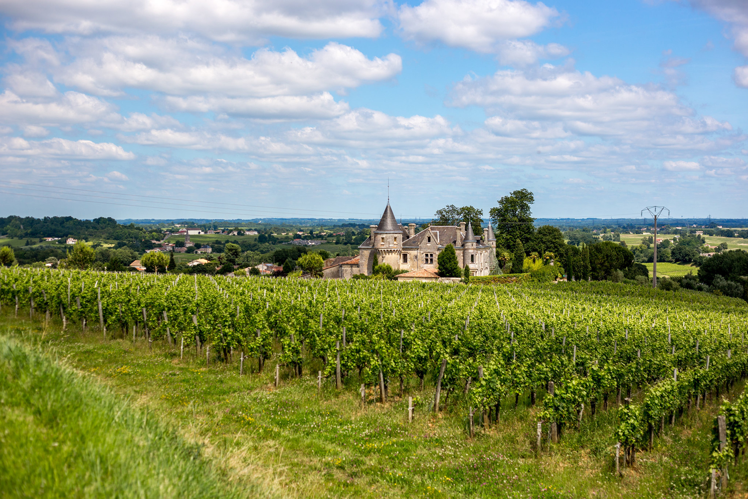 L’été au grand air – Au Royaume du Vin